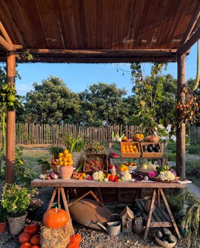 這5個暑假冷門親子農場，摘水果餵動物，孩子玩到不想回家！ post thumbnail image