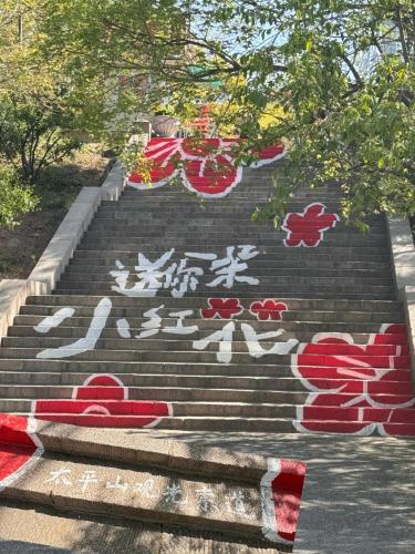 太平山夜景全景